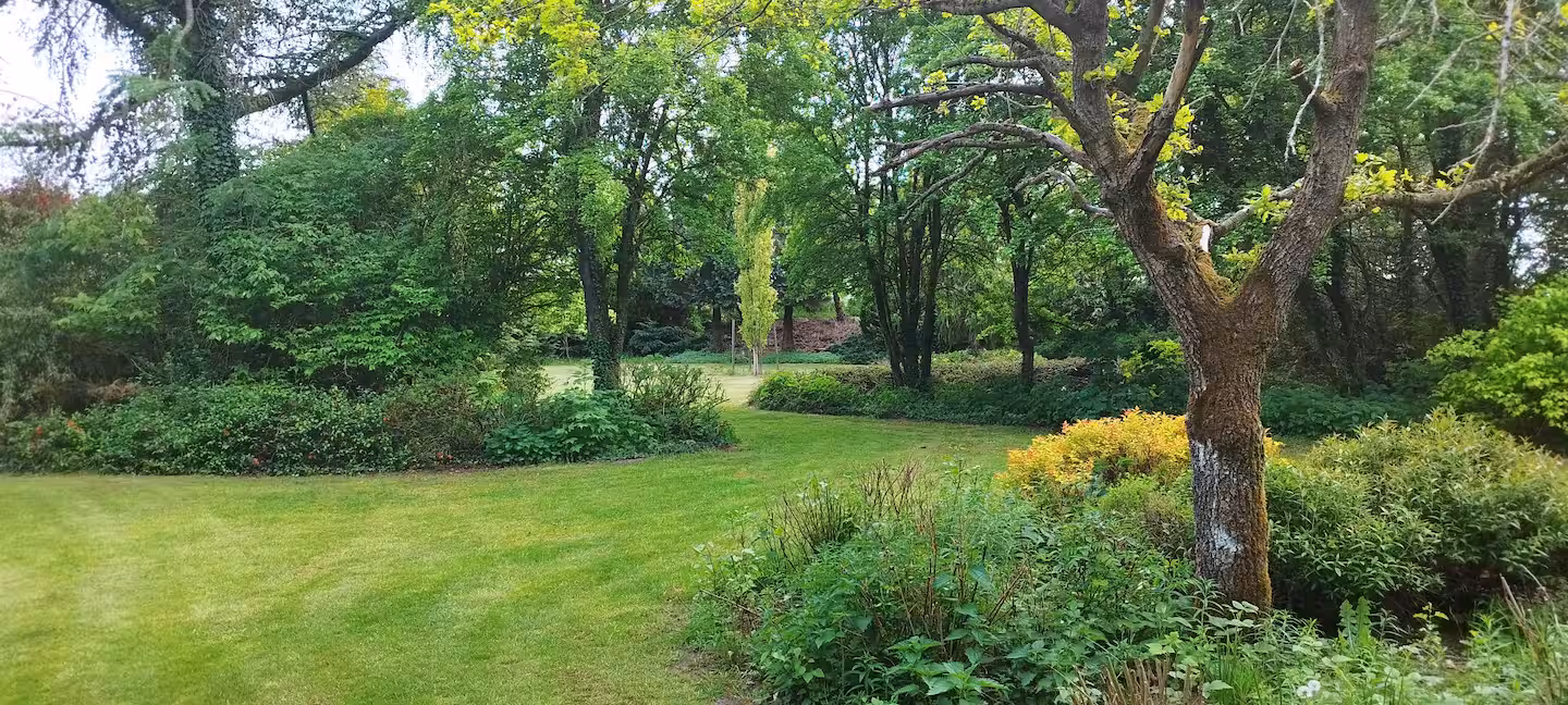 Fridasminde Naturcamping – Teltområdet