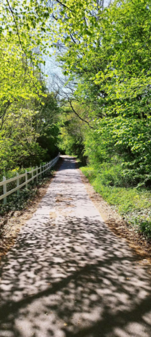 Fridasminde Naturcamping – Stien til pladsen